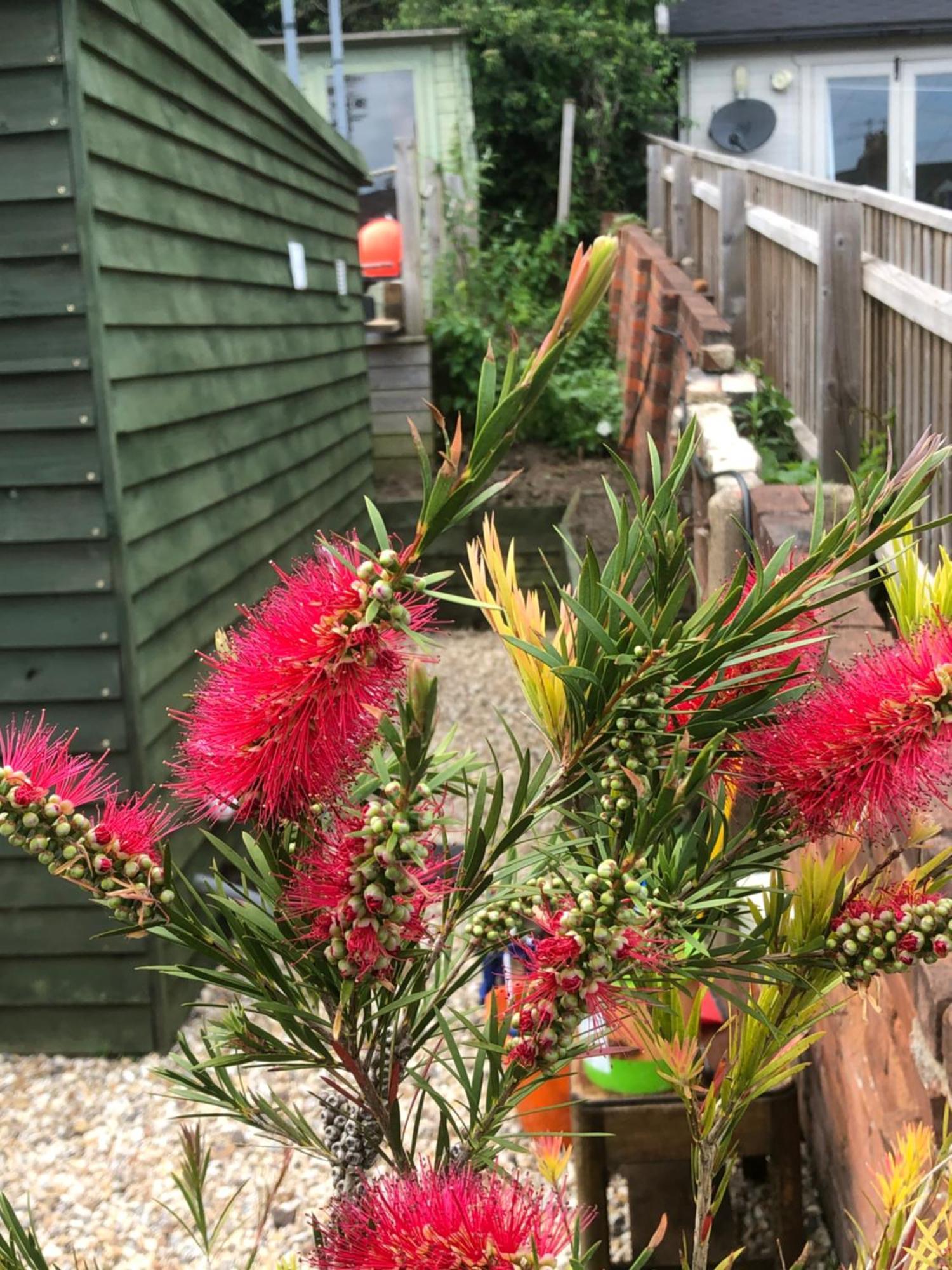 Bridport Garden Suite מראה חיצוני תמונה