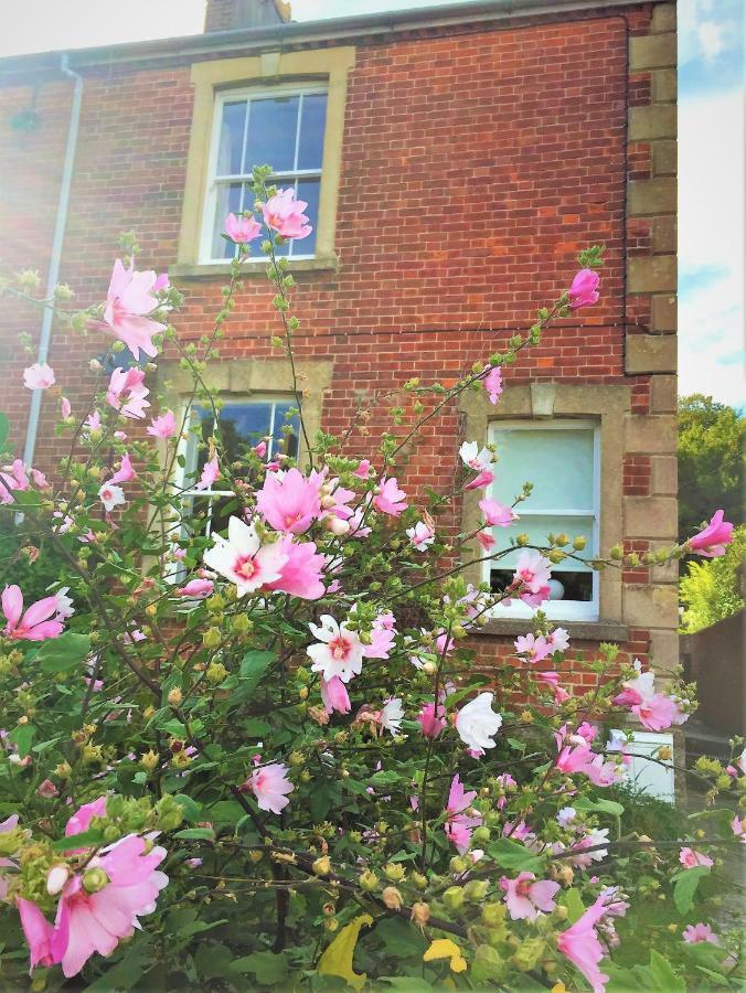 Bridport Garden Suite מראה חיצוני תמונה